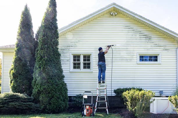 Best Roof Washing  in Oakland, PA